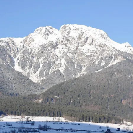 Backstuber